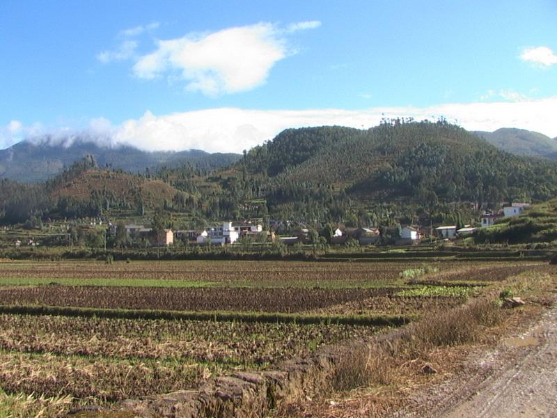 車家莊村(雲南省保山市隆陽區金雞鄉下轄村)