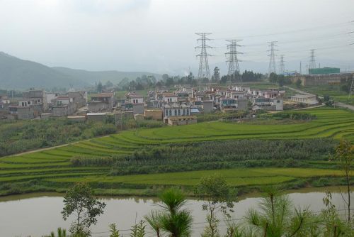 青龍村(湖南省張家界市桑植縣利福塔鎮下轄村)