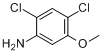 2,4-二氯-5-甲氧基苯胺