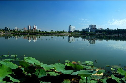 龍湖公園