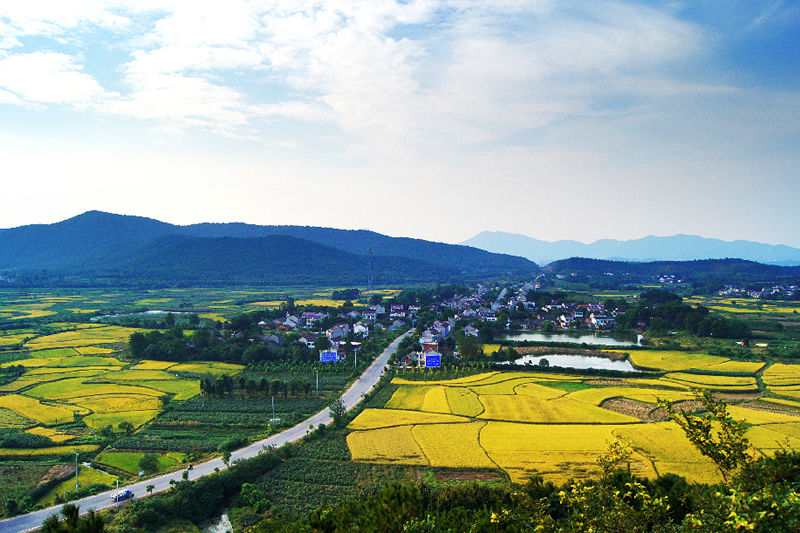 金雞山村(雲南省楚雄州祿豐縣羅川鎮下轄村)