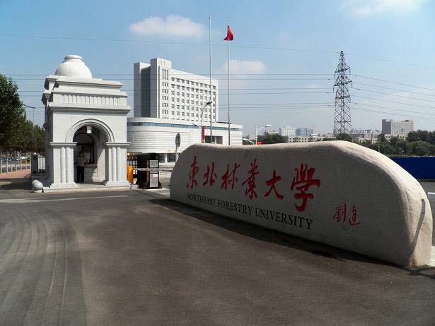 東北林業大學研究生院(東北林業大學研究生部)