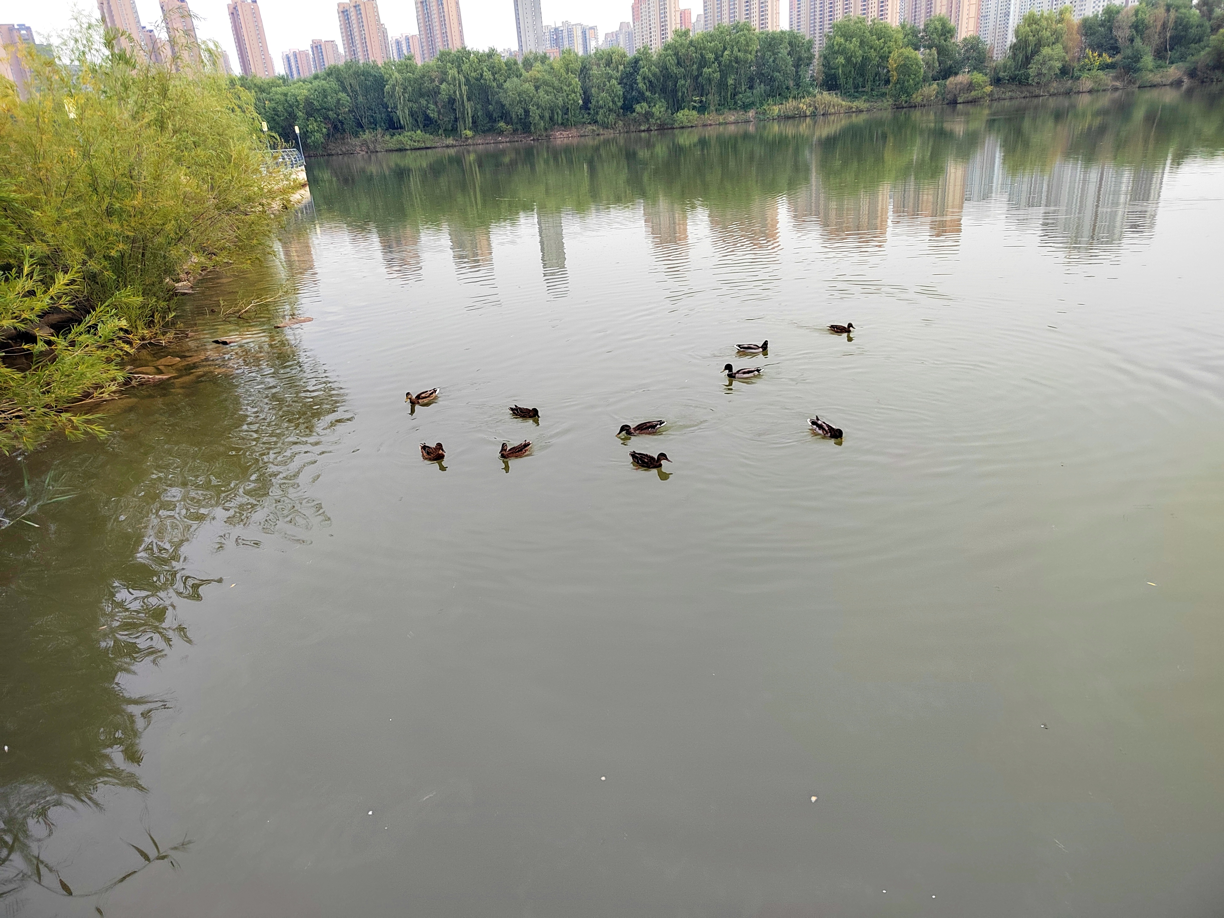 蘭州華夏人文始祖園賦