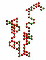 分子(molecule（分子）)