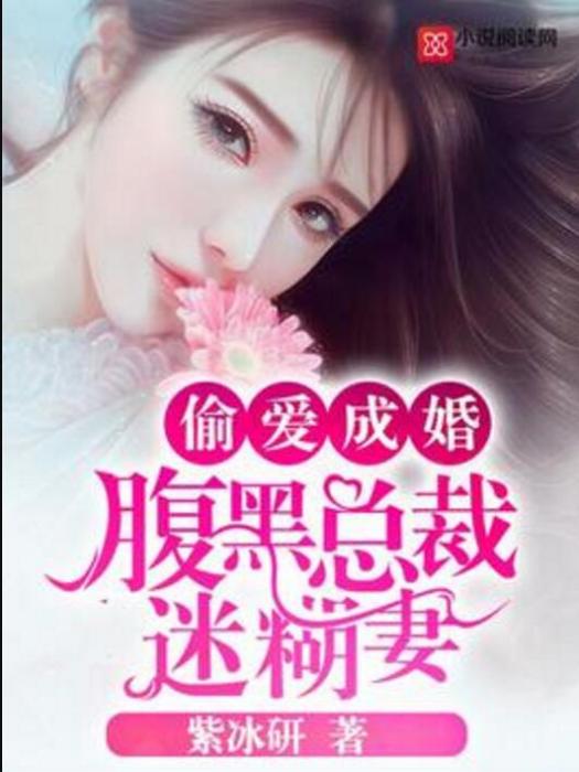 偷愛成婚：腹黑總裁迷糊妻