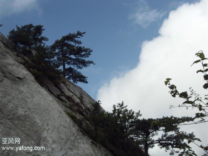 龜峰山(湖北省麻城市龜峰山)