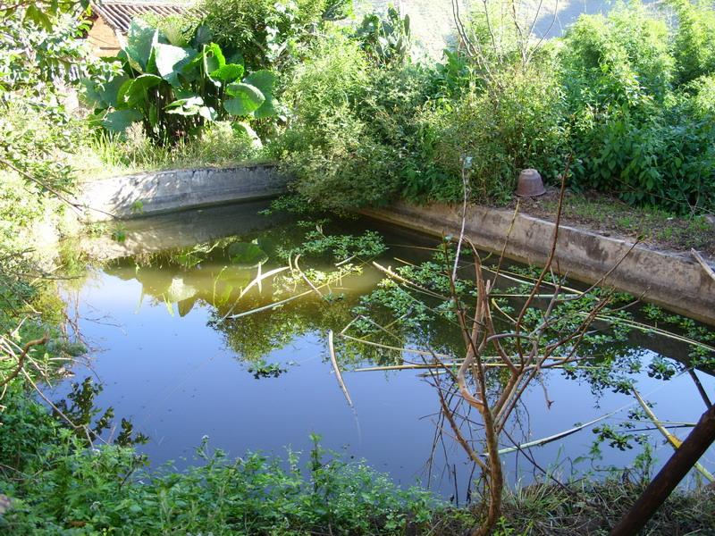 黎溪甸村