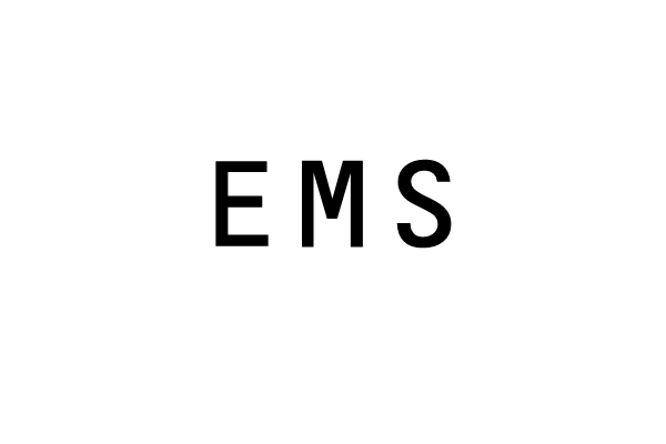 EMS(快餐罵人語言)