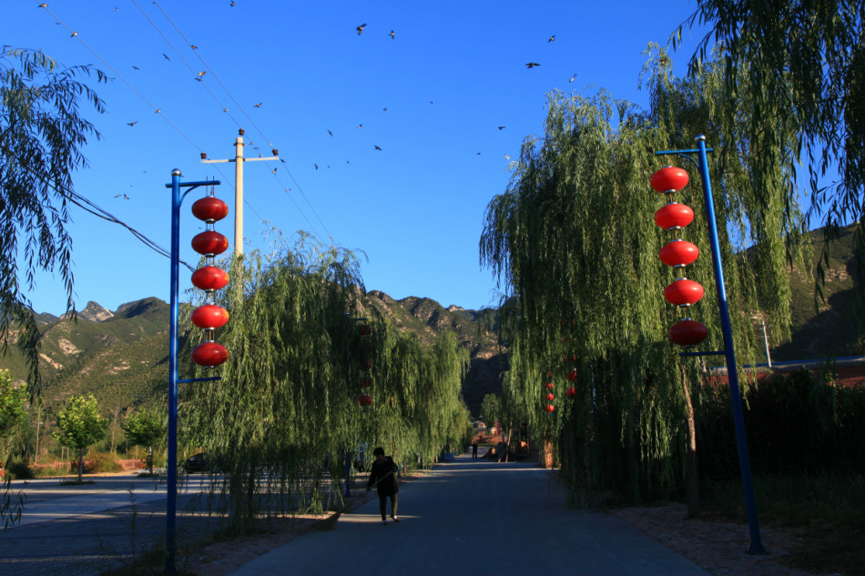 玉皇廟村(北京市延慶縣張山營鎮下轄村)