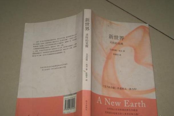 新世界(2008年南方出版社出版的圖書)