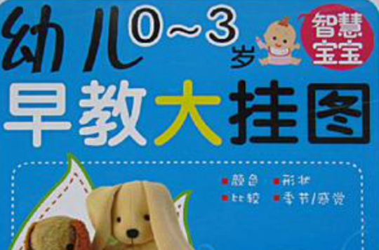 幼兒0-3歲早教大掛圖：智慧寶寶