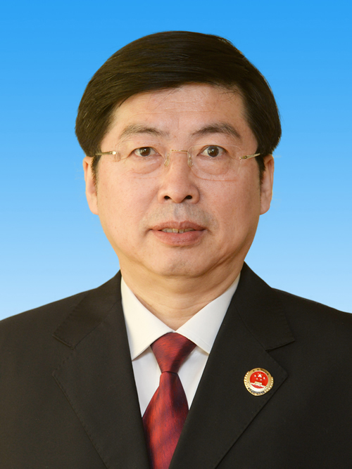 王晉(湖北省人民檢察院黨組書記、檢察長)