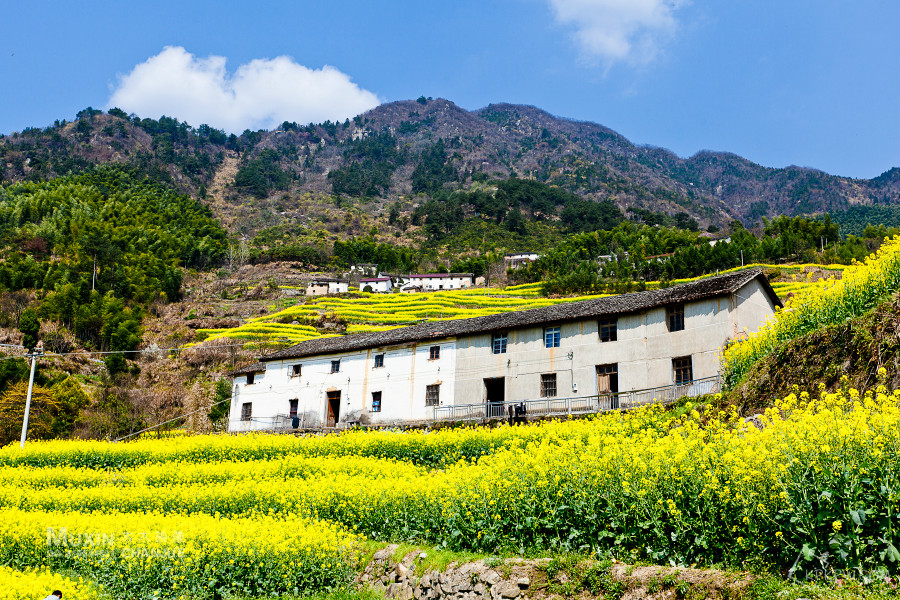 許家橋村