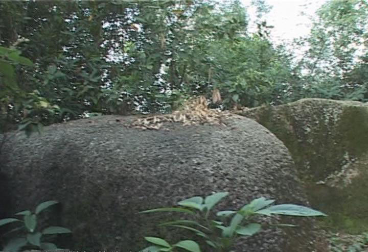 龍石村(廣東省揭陽市榕城區下轄村)