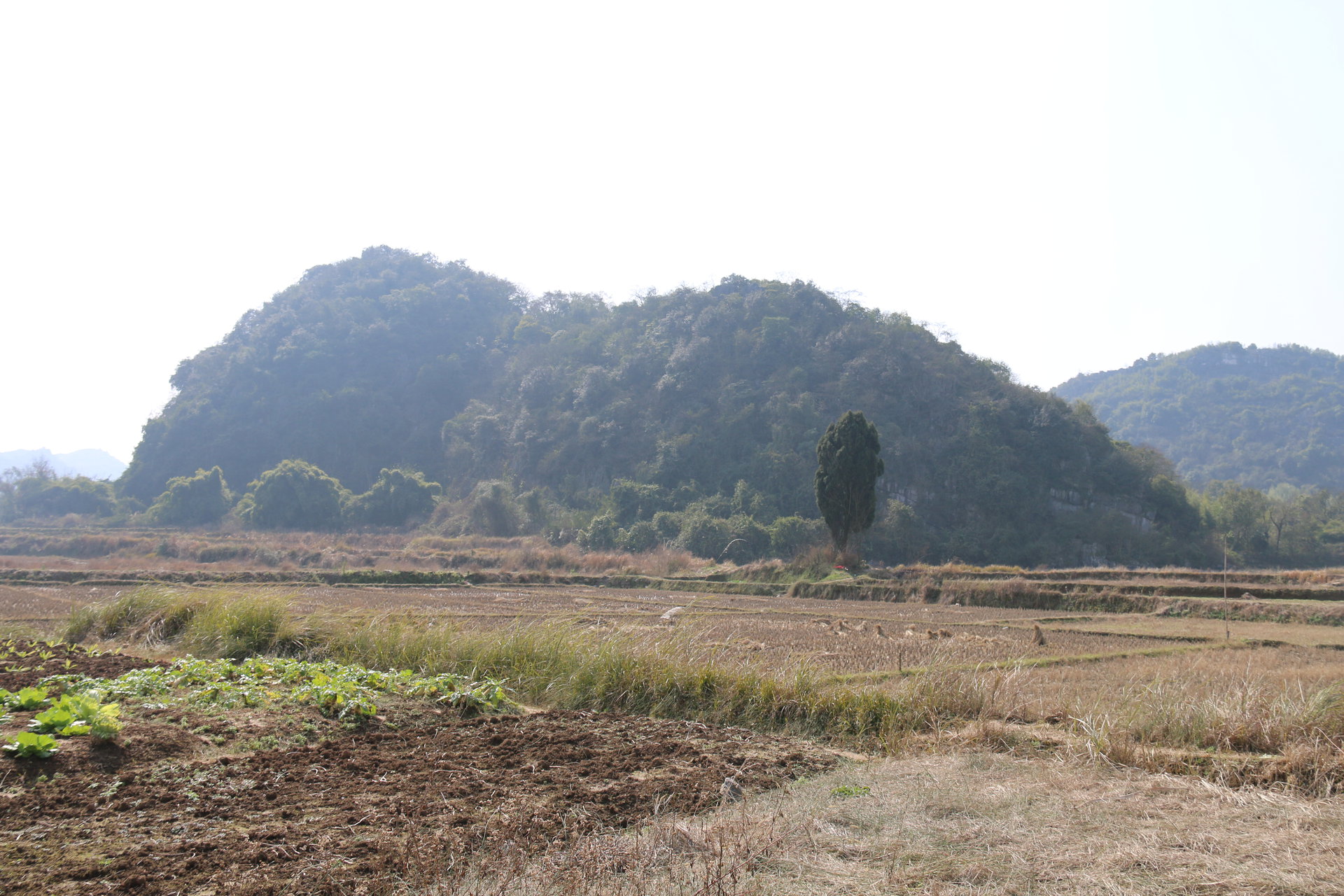 東安縣橫塘鎮蔡家村溶洞