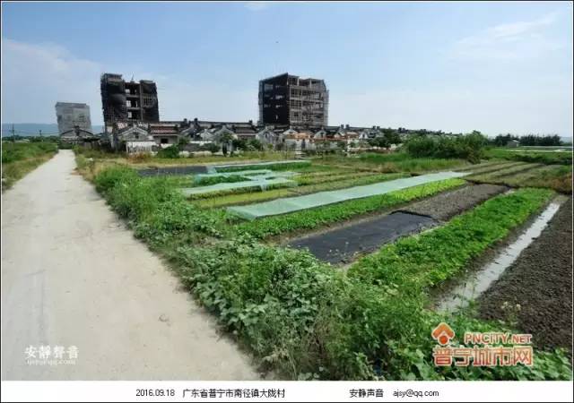 大隴村(廣東省揭陽市普寧市南徑鎮下轄村)