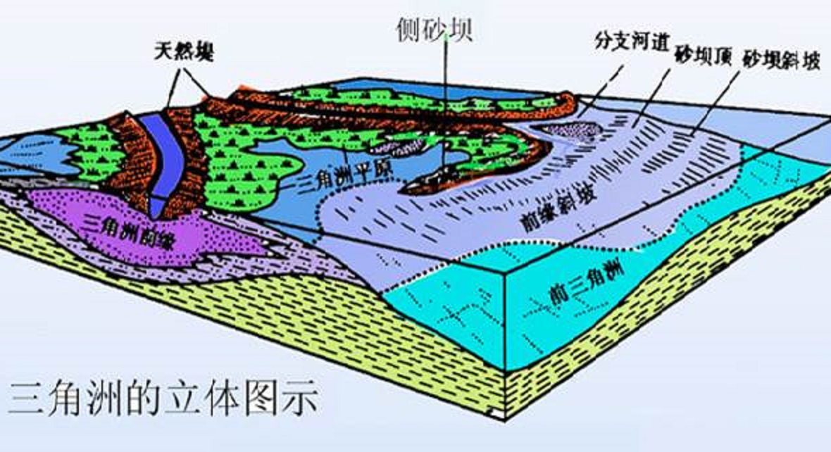 前三角洲相