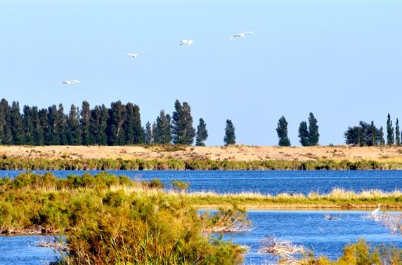 湖北天堂湖國家濕地公園(天堂湖國家濕地公園)