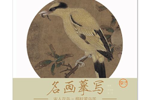 名畫摹寫——宋人花鳥 · 榴枝黃鳥圖