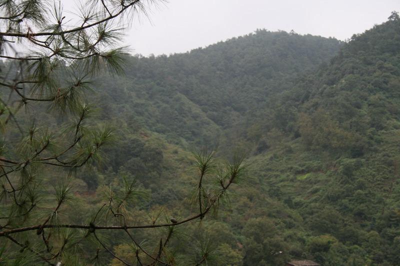 白水塘村