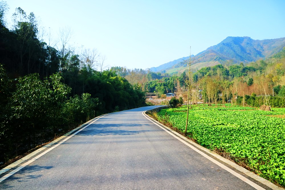 道路