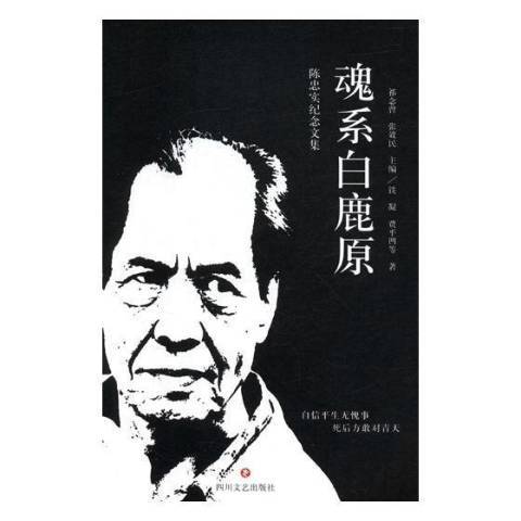 魂系白鹿原(2019年四川文藝出版社出版的圖書)