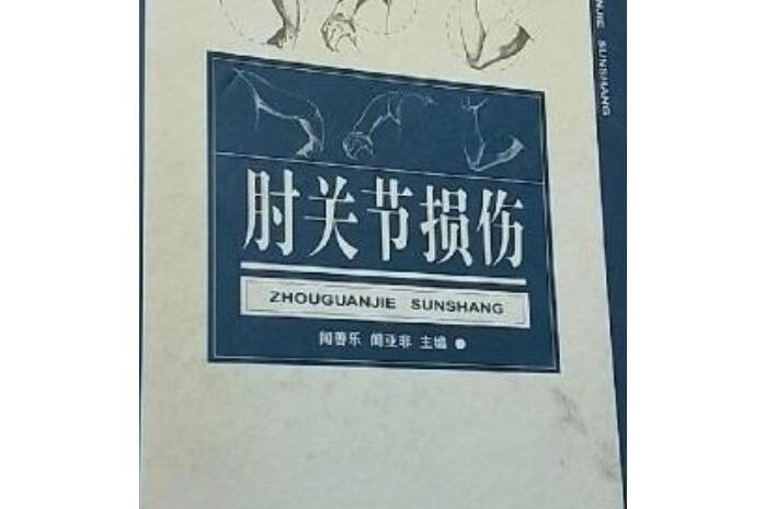 肘關節損傷(2004年北京科學技術出版社出版的圖書)