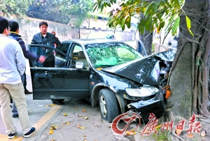 嫌犯駕車逃跑慌不擇路撞上大樹