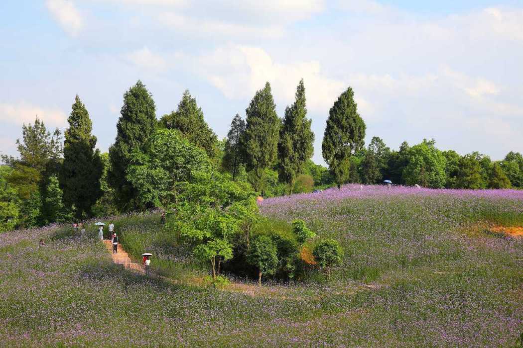 拉然度假康養小鎮