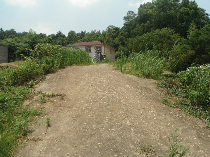 黃道村(河南郟縣黃道鄉黃道村)