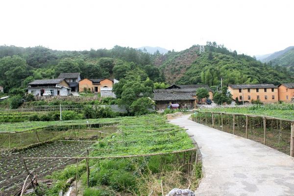 黃莊村(河南省南陽市淅川縣馬蹬鎮黃莊村)