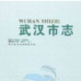 武漢市志·第六卷政治下(1980~2000)(《武漢市志·第六卷政治下》(1980~2000))