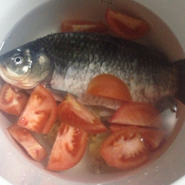 原汁原味番茄鯽魚湯