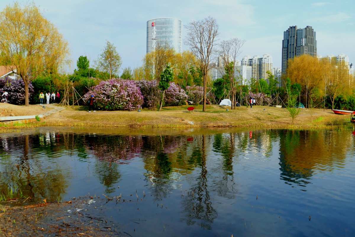 顧鄉公園