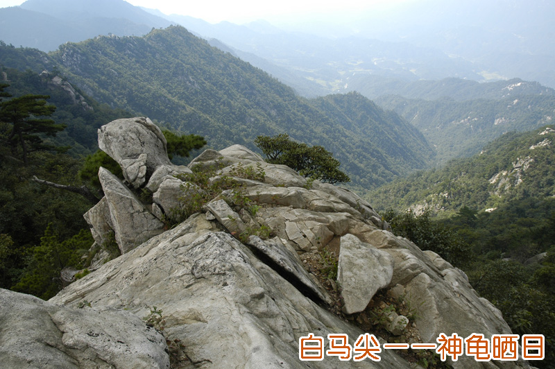 大別山主峰