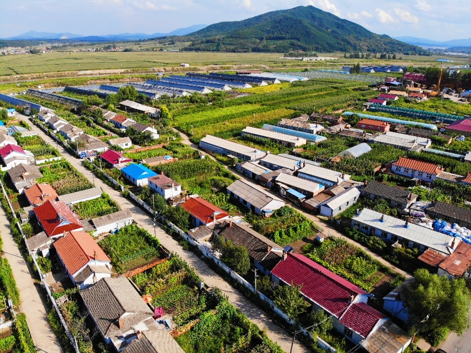 金豐村(吉林省吉林市豐滿區前二道鄉下轄村)