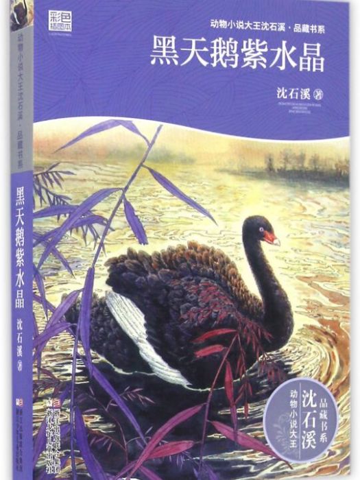 動物小說大王沈石溪·品藏書系：黑天鵝紫水晶