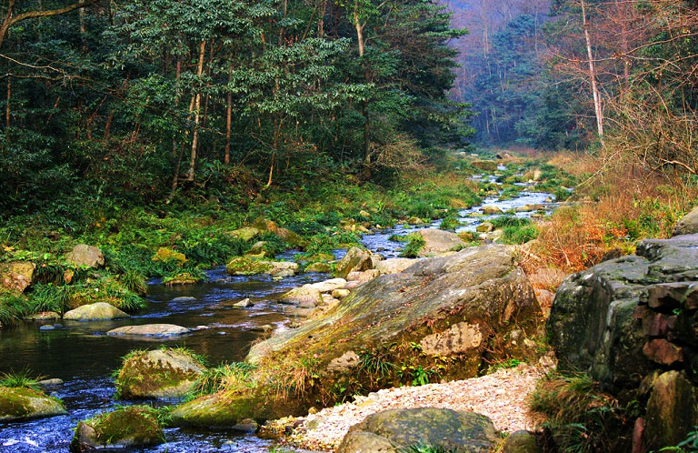 張家界景點介紹網