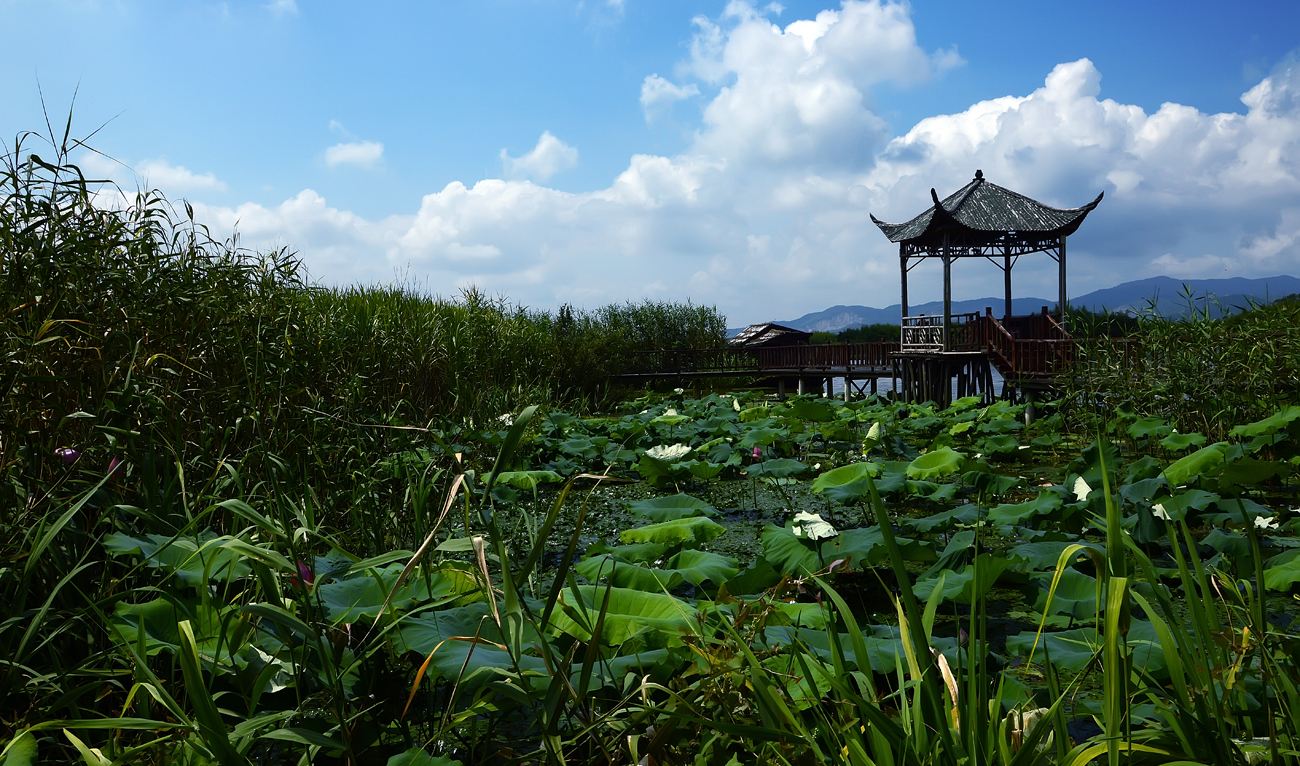 湖南瓊湖國家濕地公園