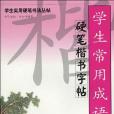 學生實用硬筆書法叢帖學生常用成語硬筆楷書字帖