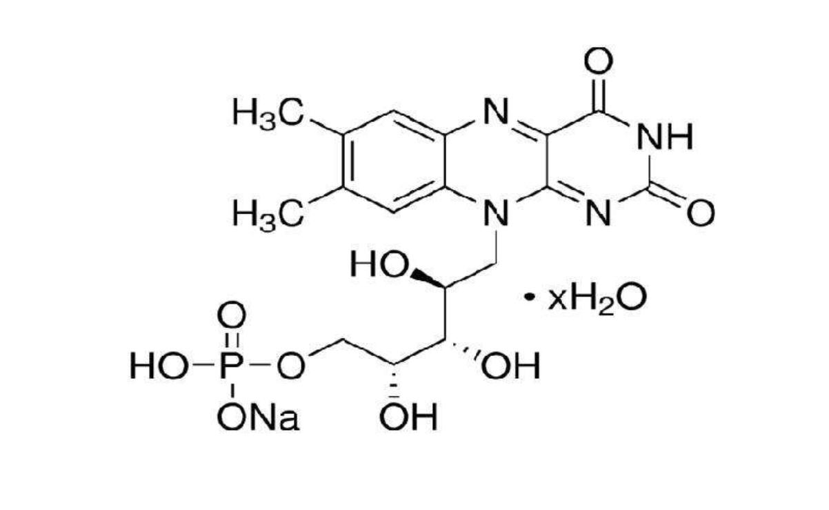 黃素單核苷酸