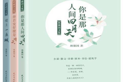 林徽因文集：百年經典珍藏版