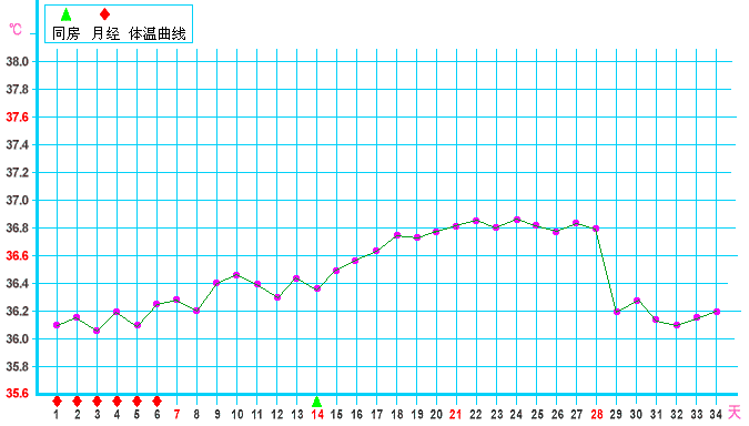 體溫監測