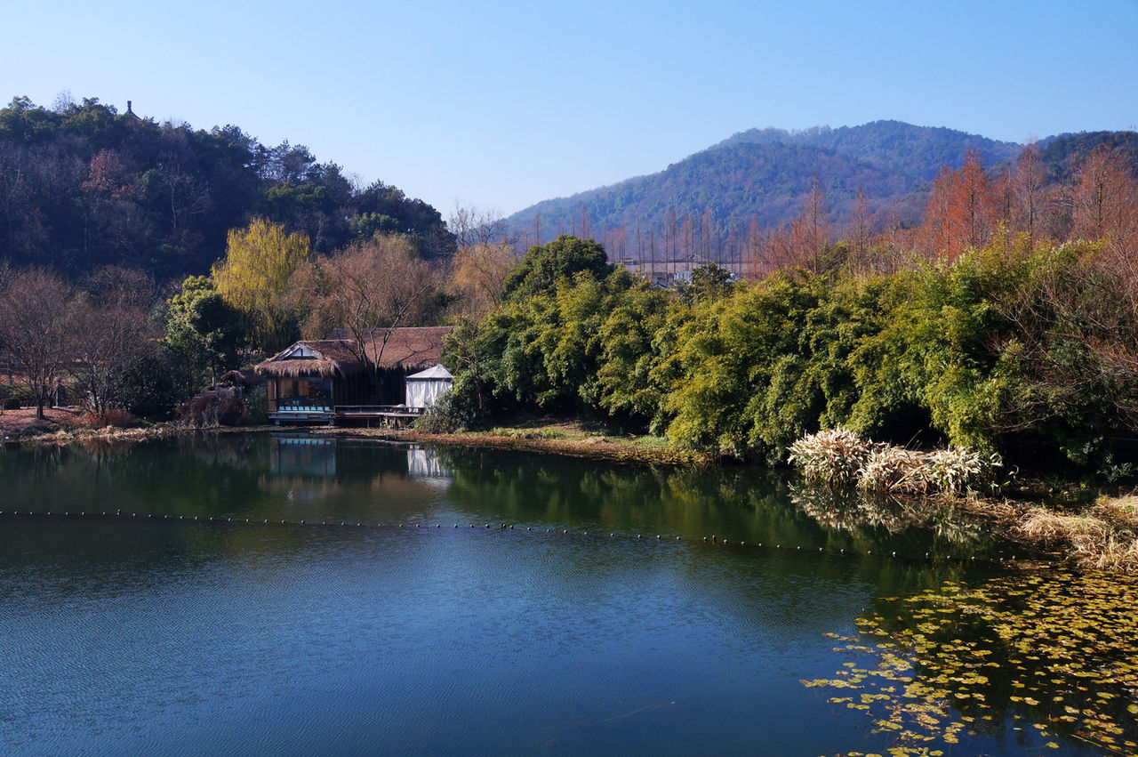 凱里蘋果山森林公園