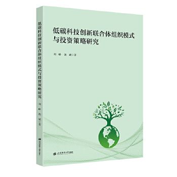 低碳科技創新聯合體組織模式與投資策略研究