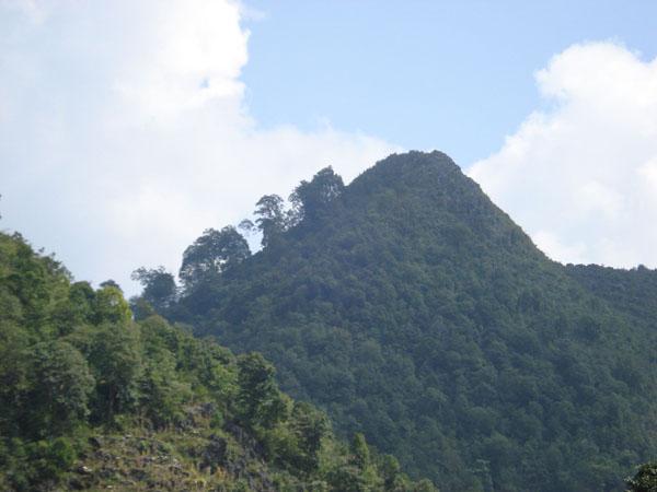 上魚塘村