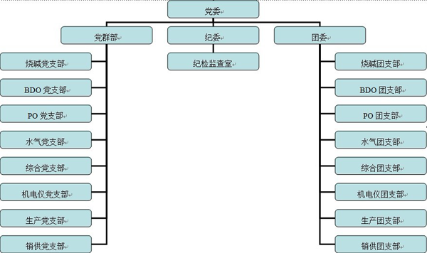 福建湄洲灣氯鹼工業有限公司