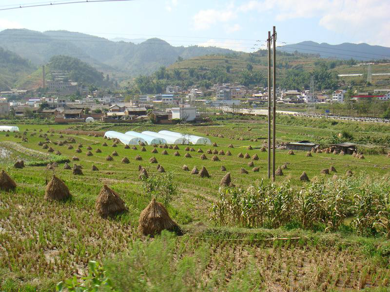 小河邊自然村(雲南臨翔區鳳翔街道下轄村)