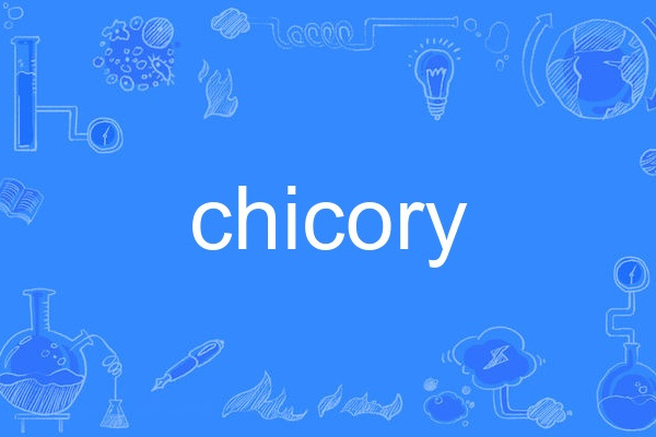 chicory