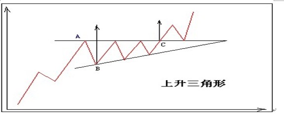 三角形整理形態